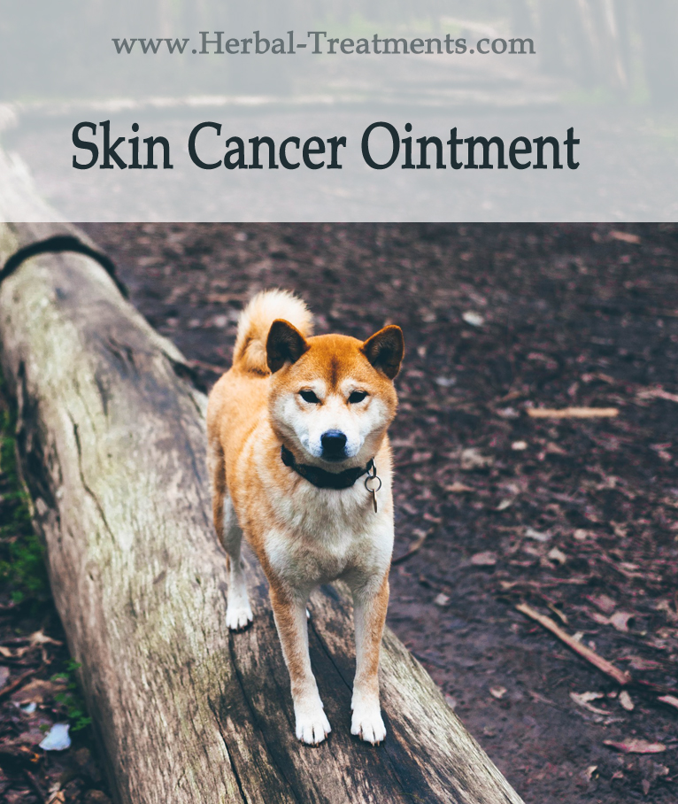 Skin Cancer Ointment for Dogs - Caraf Avnayt's Herbal ...